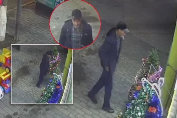 Sumqayıtda 140 AZN-lik Yen il ağacı oğurlandı - ANBAAN VİDEO